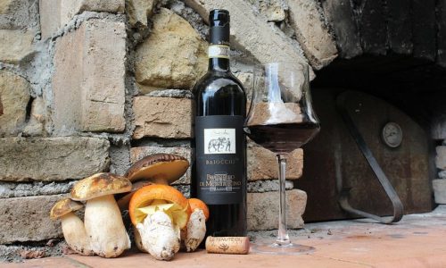 Cogumelos E Vinhos