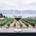6 Vinhos Com Taninos Para Você Entender Como Identificar