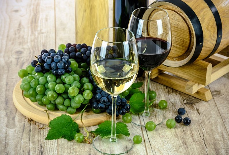 Conheça 17 Tipos De Uvas Famosas Na Produção De Vinhos