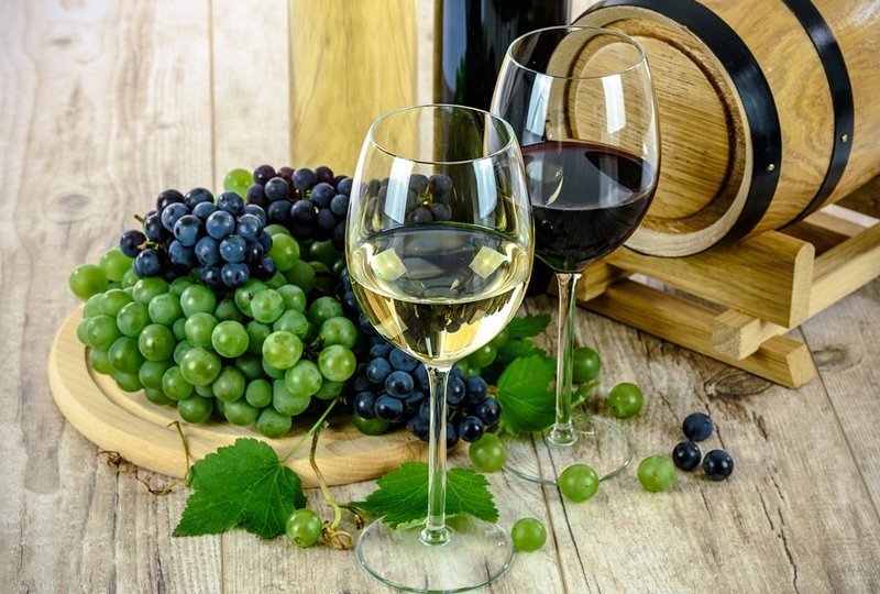 29 Tipos De Uvas Famosas Na Produção De Vinhos