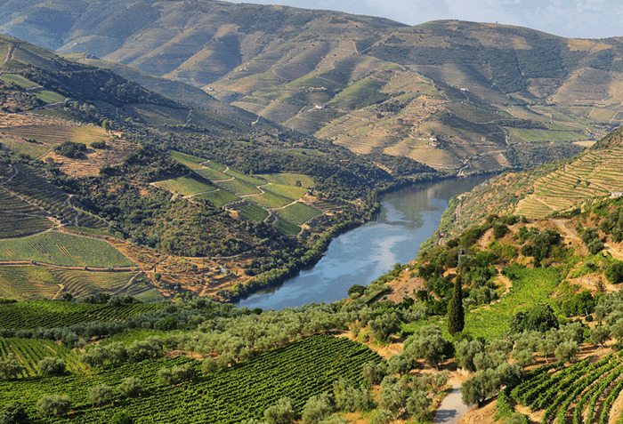 Região do Douro Comprar Vinho do Porto