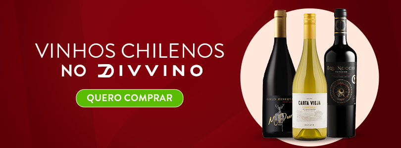 Banner final vinhos chilenos.
