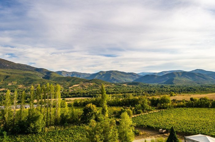 colchagua chile