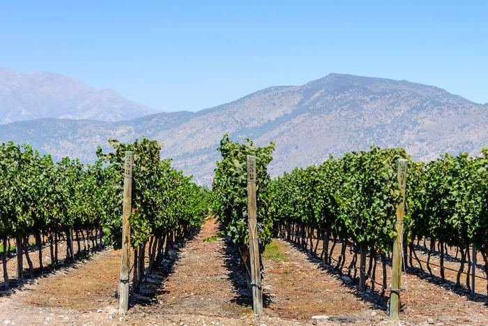 colchagua chile