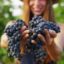 Quem São As Mulheres Do Vinho? Conheça 9 Figuras Importantes