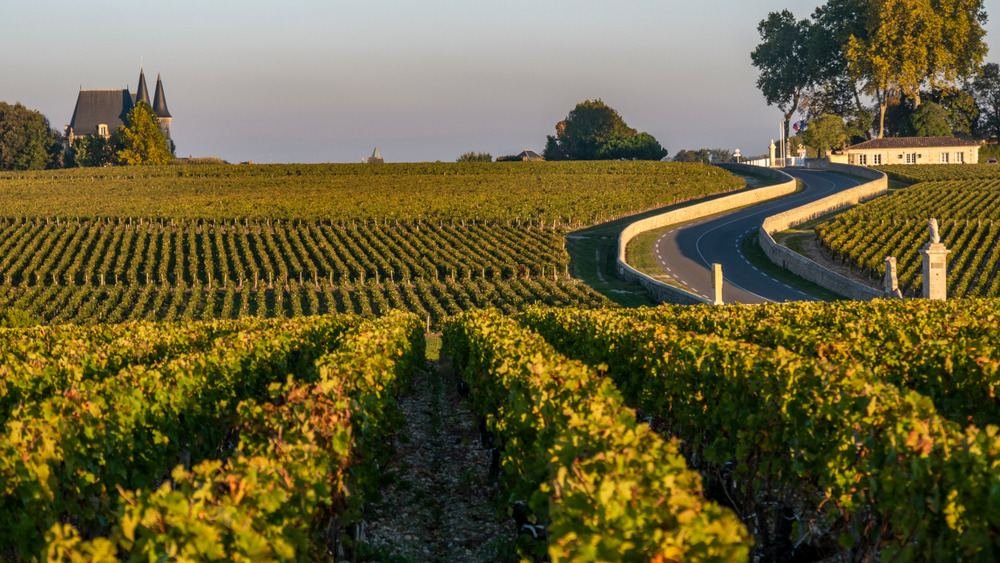 vinhos premium da frança