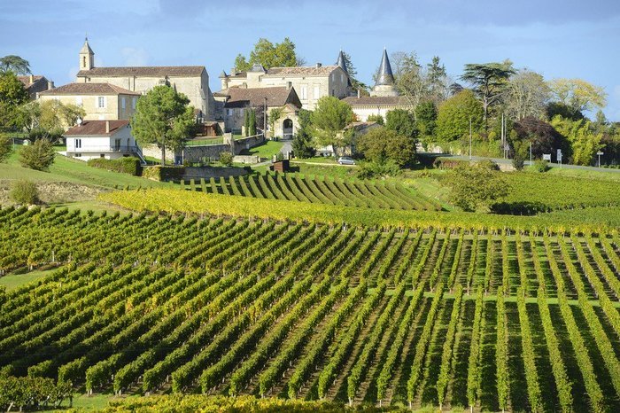 regiões vinícolas da frança