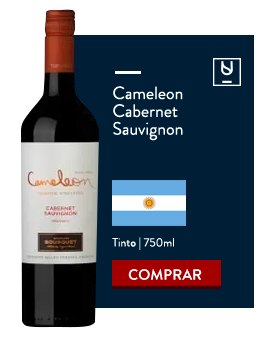 Vinhos para hambúrguer no Divvino