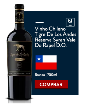 Vinho para hambúrguer no Divvino