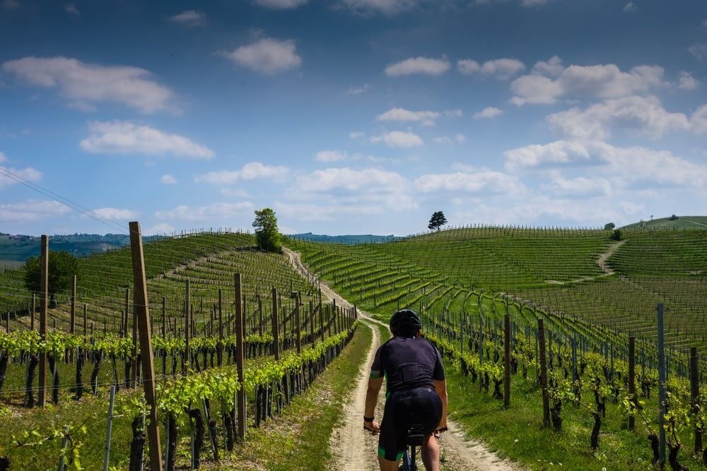 Conheça 5 Rotas De Vinhos De Bike No Brasil E No Mundo