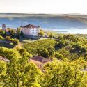 Conheça Os Vinhos Das Regiões Francesas De Provence E Rhône