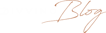 Divvino - Conheça tudo sobre o mundo dos vinhos