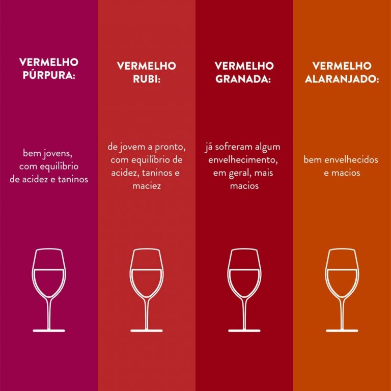Guia de uvas descubra os vinhos