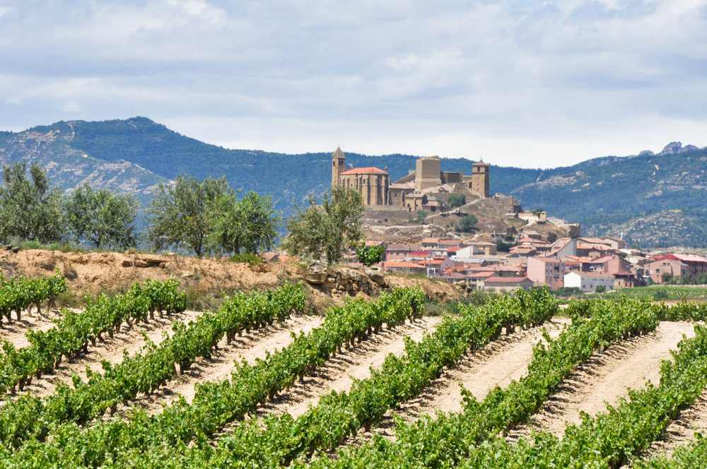 vinhos espanhois a historia dos vinhos espanhois