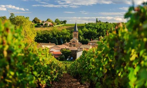 Vinho Beaujolais