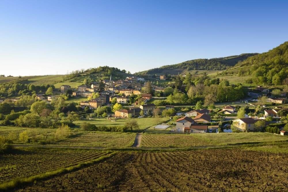 vinho beaujolais origem