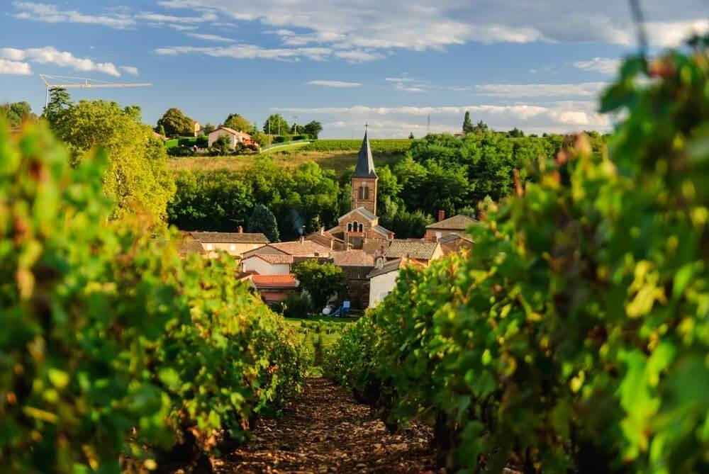 Vinho Beaujolais