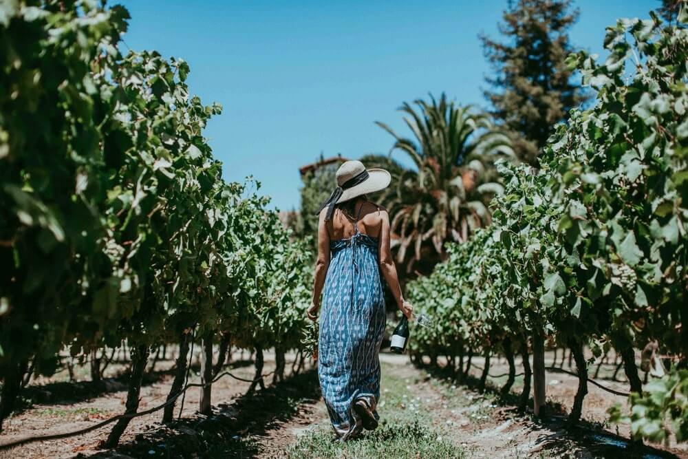 Vinícola MontGras: Tradição, Inovação E Sustentabilidade