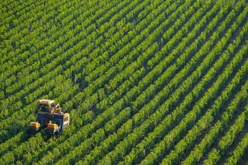 vinhos novo mundo Terroir dos Vinhos do Novo Mundo