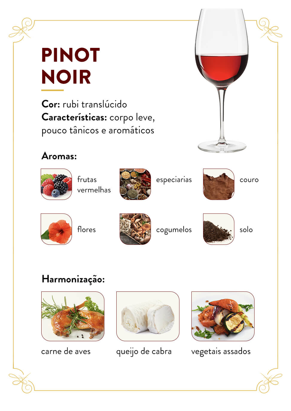 infografico - pinot noir