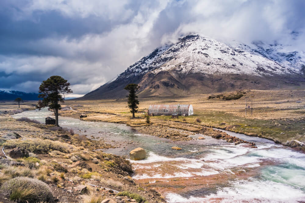 Vinhos Da Patagônia: Conheça Esse Incrível Terroir Argentino