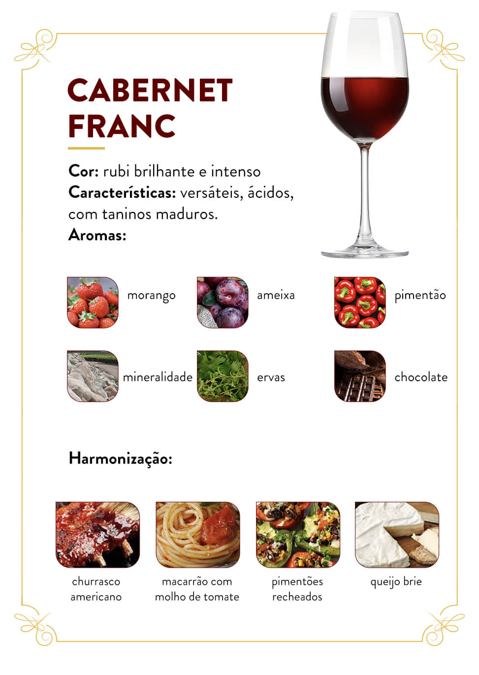 uva cabernet franc infográfico