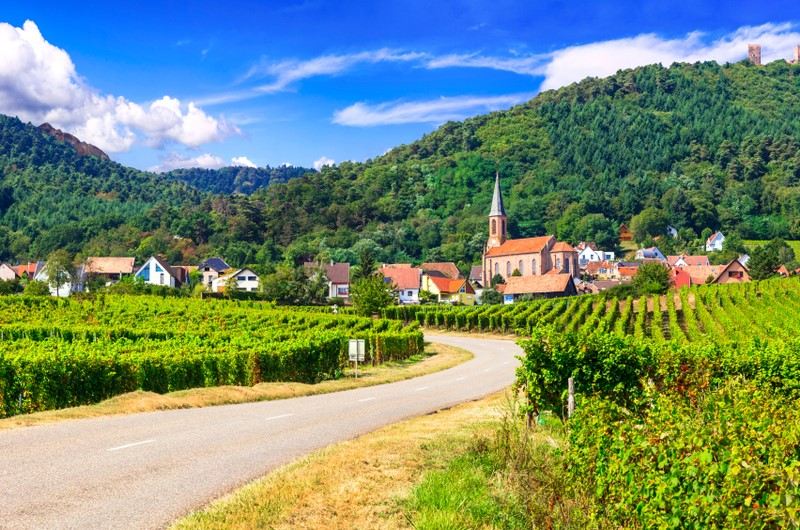 vinhos alsácia cultura francesa e alemã