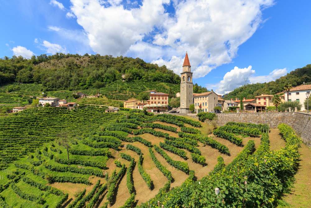 uva glera origem paisagem na região italiana do vêneto