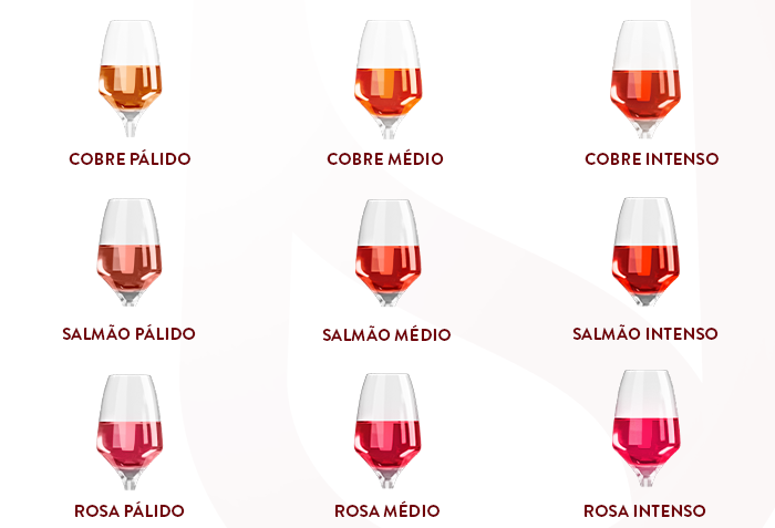 infográfico divvino