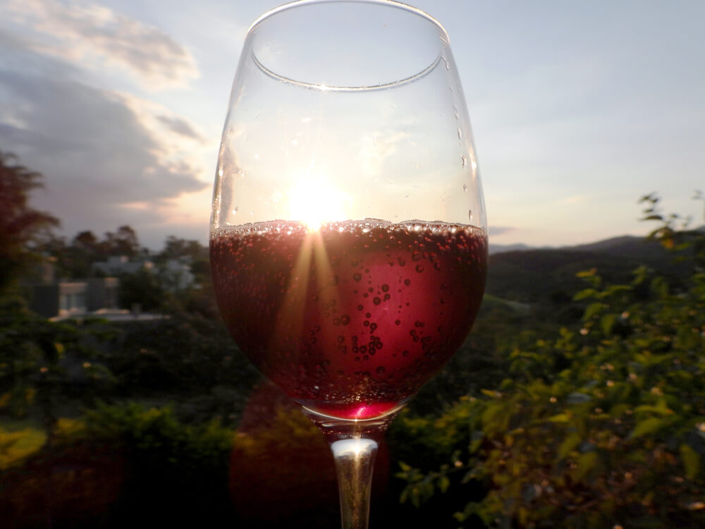 emilia romagna lambrusco