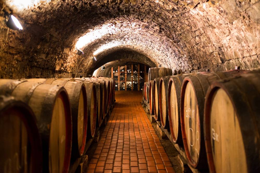 barris de vinho carvalho francês