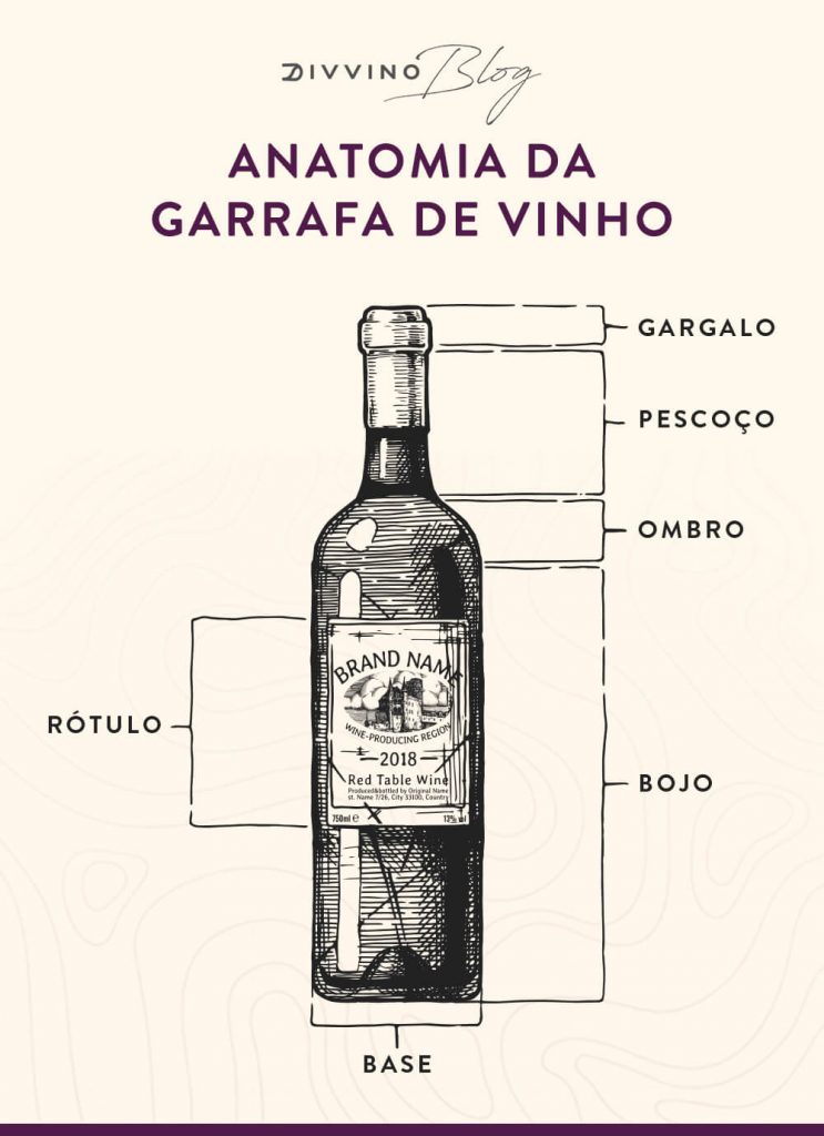 Infográfico partes da garrafa de vinho