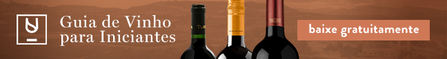 Banner Divvino Guia de Vinho para Iniciantes