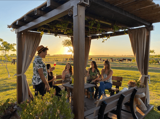 Pessoas sentadas em um pergolado de madeira, admirando o sol se pôr enquanto bebem vinho. Ao fundo da imagem, é possível ver gados pastando.