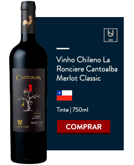 Vinho chileno para harmonizar com receitas picantes