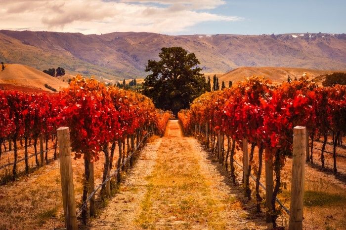 Região de Central Otago na Nova Zelândia