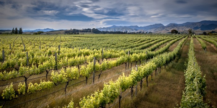 Região de Marlborough na Nova Zelândia