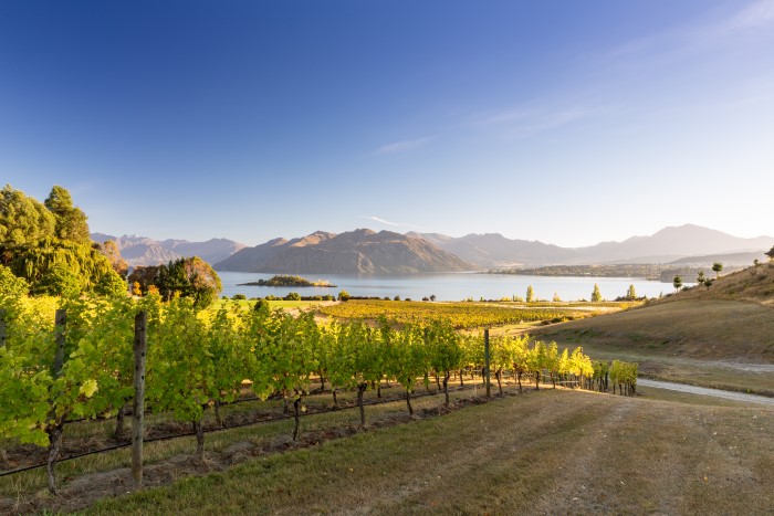 Região produtora de vinhos da Nova Zelândia