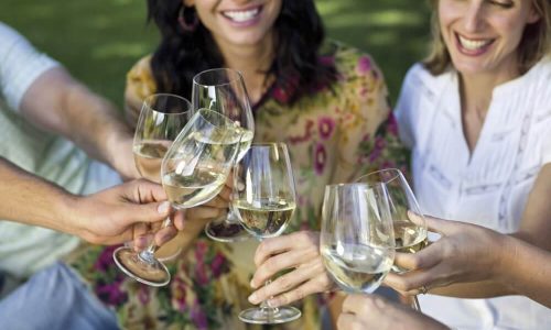 Produção De Vinho Branco Imagem Destacada
