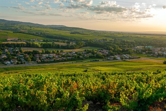 Região produtora de vinhos franceses - Côtes du Rhône