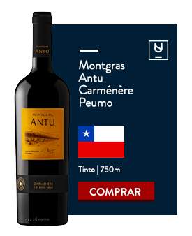 Vinho carménère no Divvino