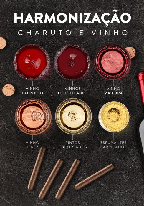 Infográfico sobre charuto e vinho