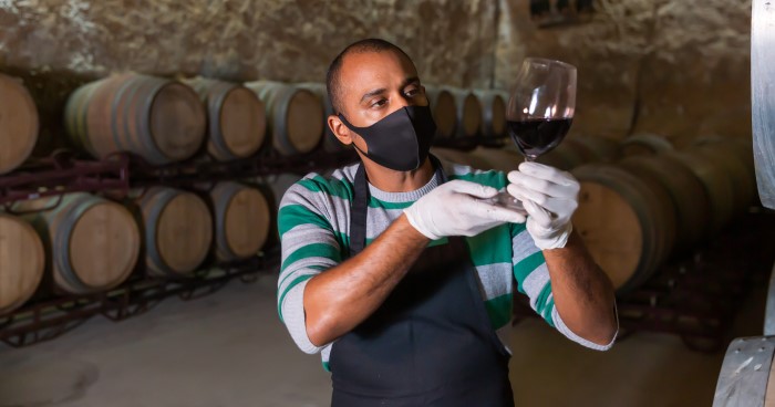 Enólogo produzindo vinhos brasileiros