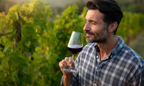Homem Degustando Um Vinho Chianti
