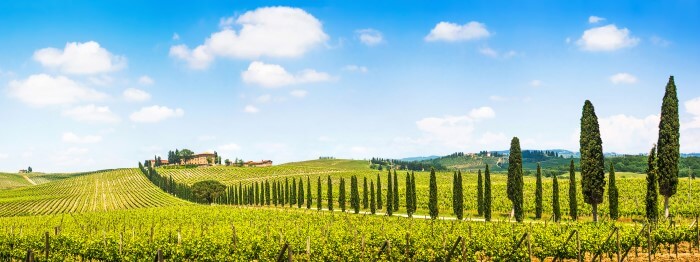 Região de Chianti, na Toscana