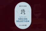 Cata Aos Sócios Selection Do Divvino