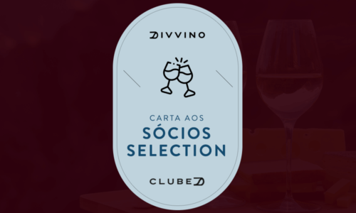 Cata Aos Sócios Selection Do Divvino