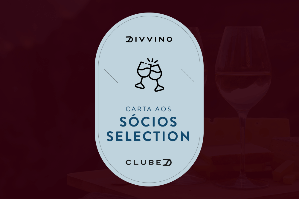 Cata Aos Sócios Selection Do Divvino