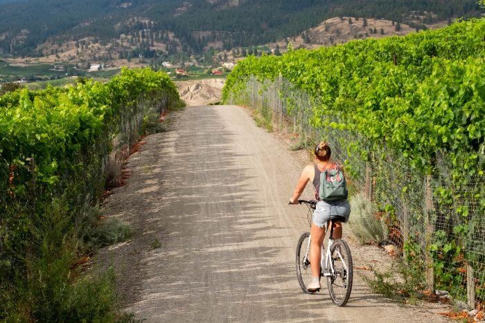 mulher passeando de bicicleta em vinícola de Bodegas Bianchi, rota dos vinhos na argentina