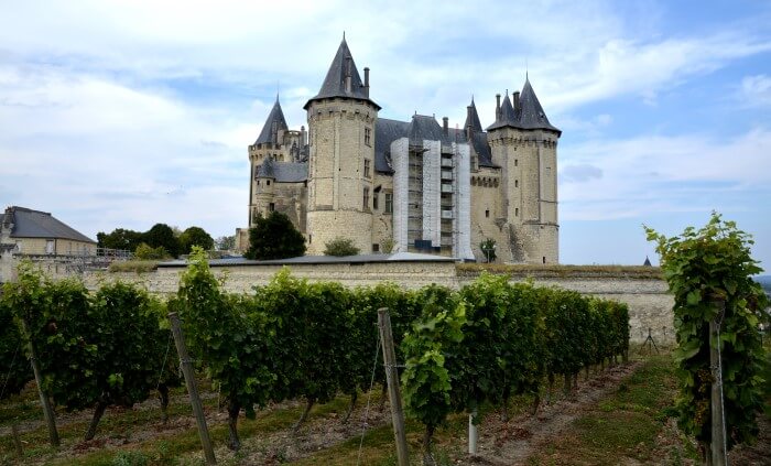 área de cultivo da chenin blanc no Vale do Loire, França